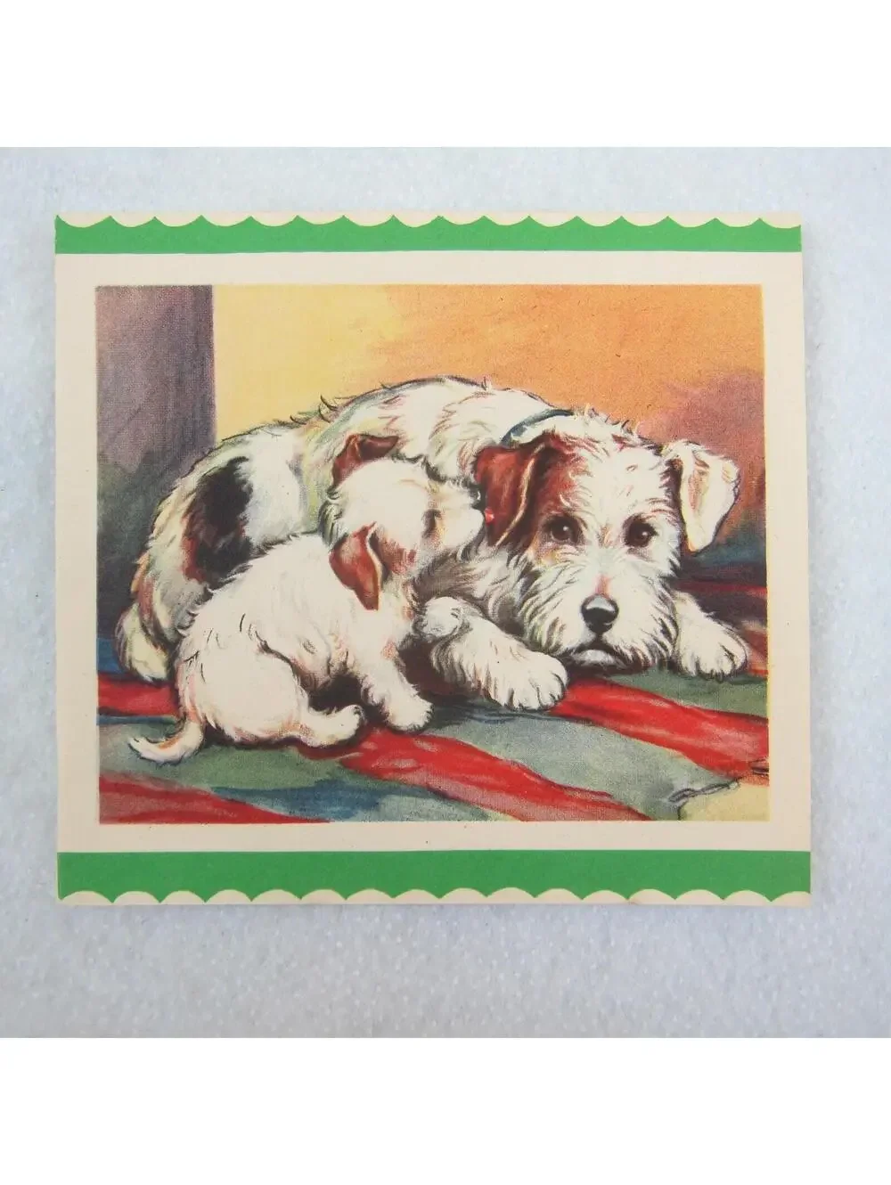 Vintage Schnauzer Terrier Dog Mother Puppy Animals Pets Affection Card Art Print